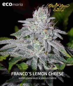 Imagen secundaria del producto Franco's Lemon Cheese 