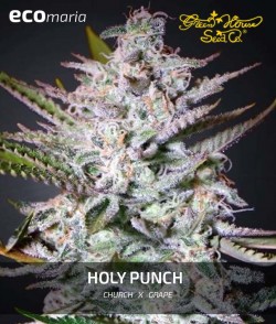 Imagen secundaria del producto Holy Punch 
