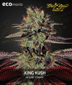 King's Kush - Marihuana...