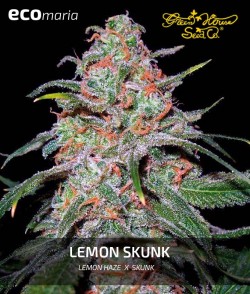 Lemon Skunk - Marihuana...