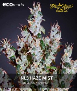 Imagen secundaria del producto NL5 Haze Mist 