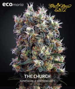 The Church - Marihuana tipo...