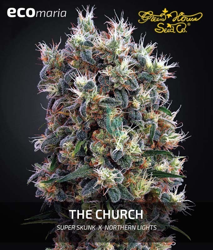 Imagen principal del producto The Church 