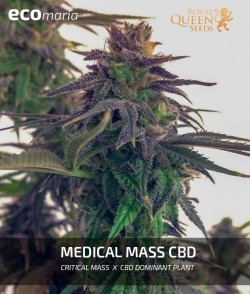 Medical Mass CBD -...