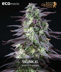 Skunk XL - Genética...