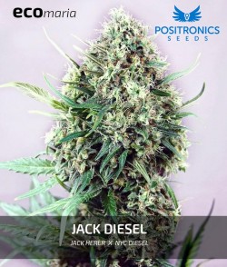 Jack Diesel - Cannabis...