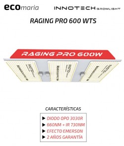Imagen secundaria del producto LED RAGING PRO 400W 