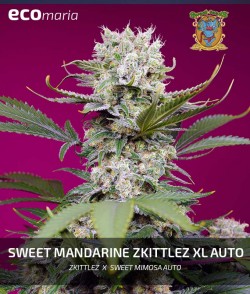 Sweet Mandarine Zkittlez XL...