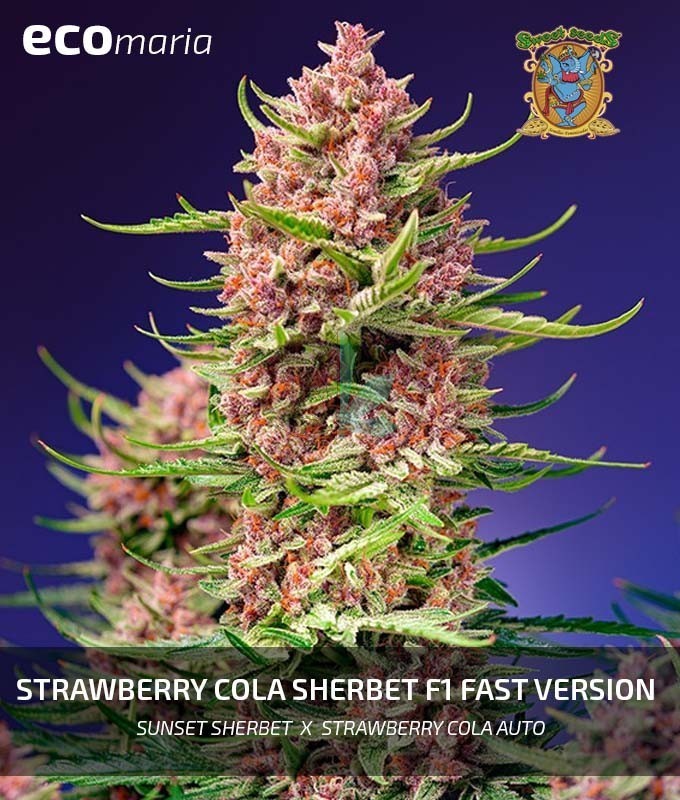 Imagen principal del producto Strawberry Cola Sherbet F1 FAST VERSION® 