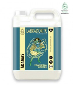 LABRADORITE - Vitaminas y...