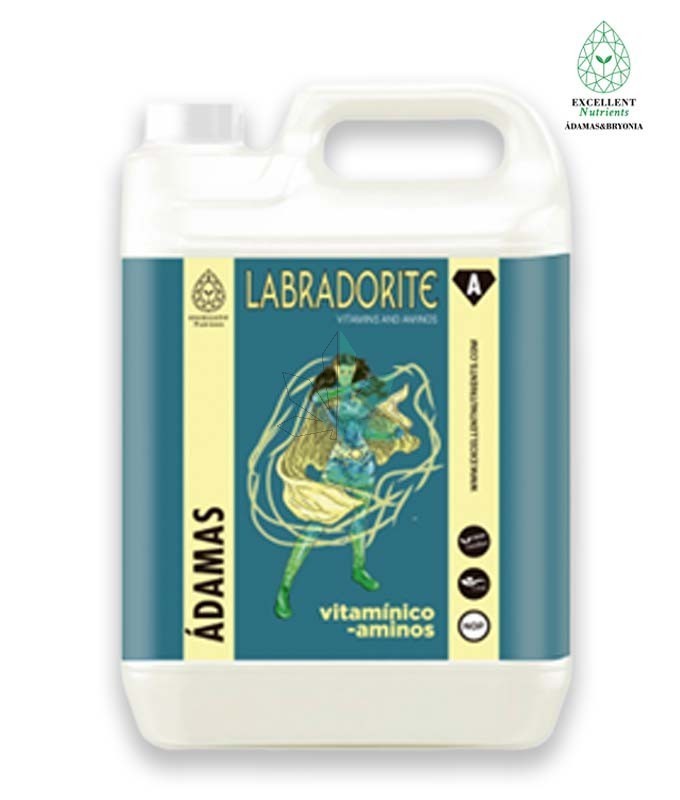 Imagen principal del producto LABRADORITE 
