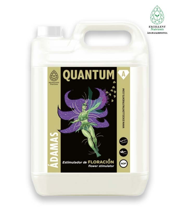 Imagen principal del producto QUANTUM 