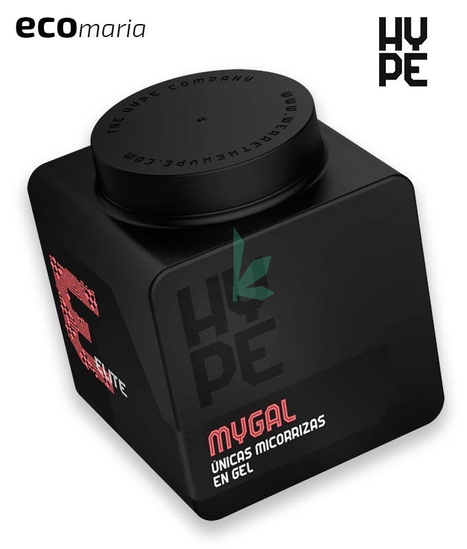 Imagen principal del producto MYGAL 