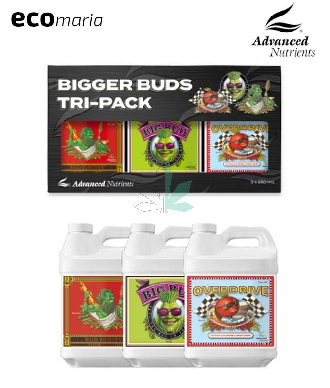 Imagen principal del producto Bigger Buds 