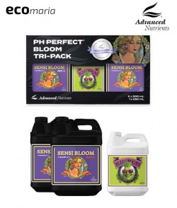 PH Perfect Bloom - Tri Pack...