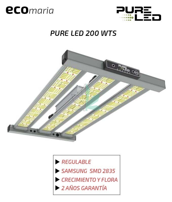 Imagen principal del producto PURE LED 