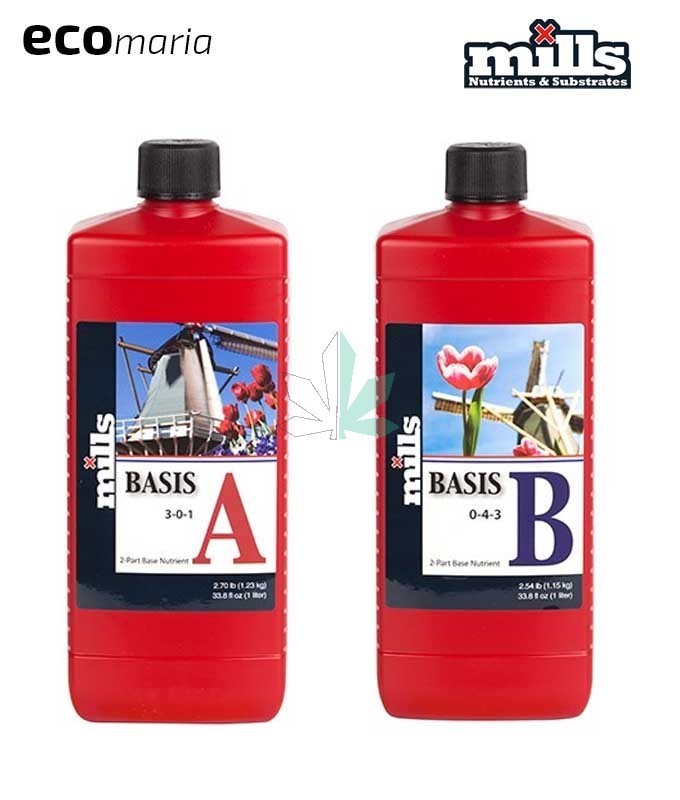 Imagen principal del producto MILLS Basis A + B 