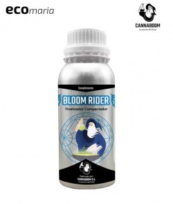 Bloom Raider de Cannabom -...