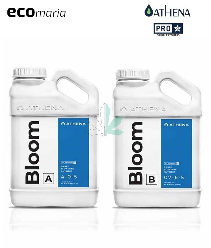 Imagen principal del producto Athena Bloom A+B 