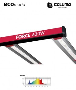 Imagen secundaria del producto Led Force Pro 630W 