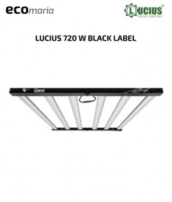 Imagen secundaria del producto LUCIUS Light 421w 