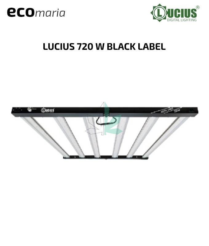 Imagen principal del producto LUCIUS Light 421w 