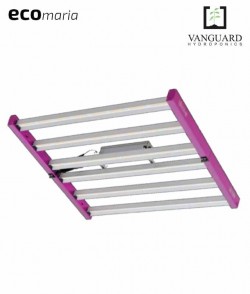 copy of LED Cosmos  -...