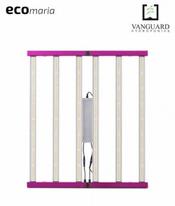 Imagen secundaria del producto copy of LED Cosmos  