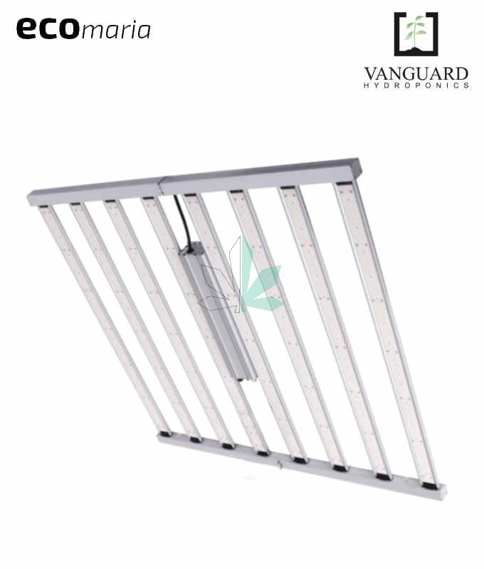 Imagen principal del producto Spider King 1000W 