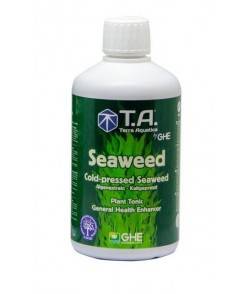 Seaweed - Algas capaces de...