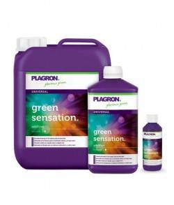 Imagen secundaria del producto Green Sensation 