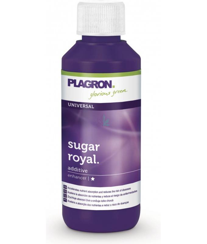 Imagen principal del producto Sugar Royal 