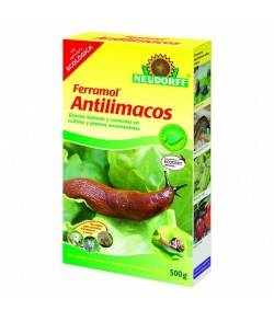 Antilimacos