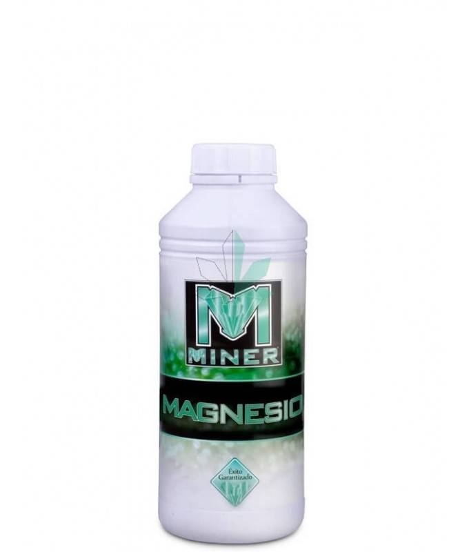 Imagen principal del producto Magnesio 