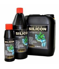 Liquid Silicon - Silicato...
