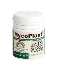 Imagen secundaria del producto MycoPlant 