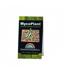 Imagen secundaria del producto MycoPlant 