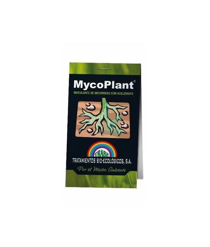Imagen principal del producto MycoPlant 