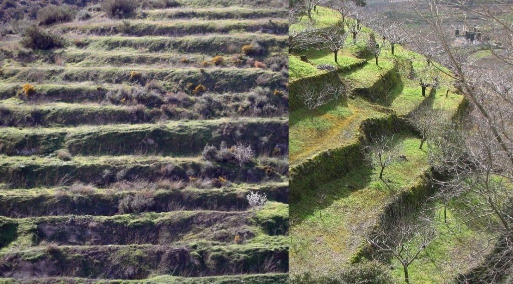 Dos imagenes de bancales sobre una ladera donde se hacía agricultura convencional