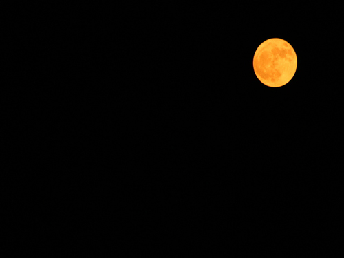 Luna llena y anaranjada 