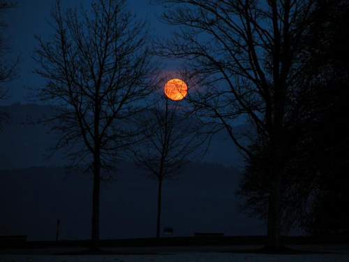 Luno Roja vista detrás de las siluetas de unos árboles