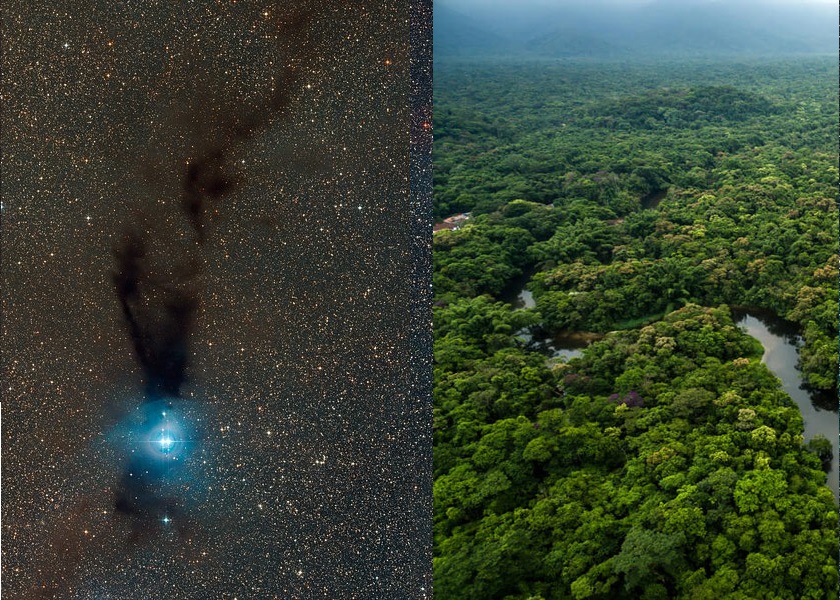 Contelación de estrellas y el Amazonas en una imágen partida