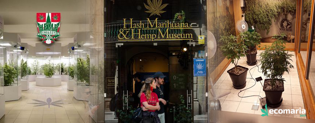Museos y exposiciones sobre la marihuana y el cáñamo