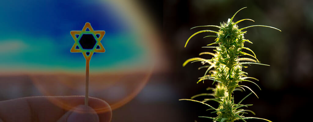 Simbolo del judaísmo cerca de una planta de cannabis cogollando