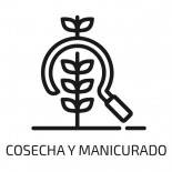 Logo de Cosecha y Manicurado