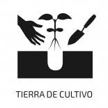 Logo de Tierra
