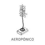 Logo de Aeroponía